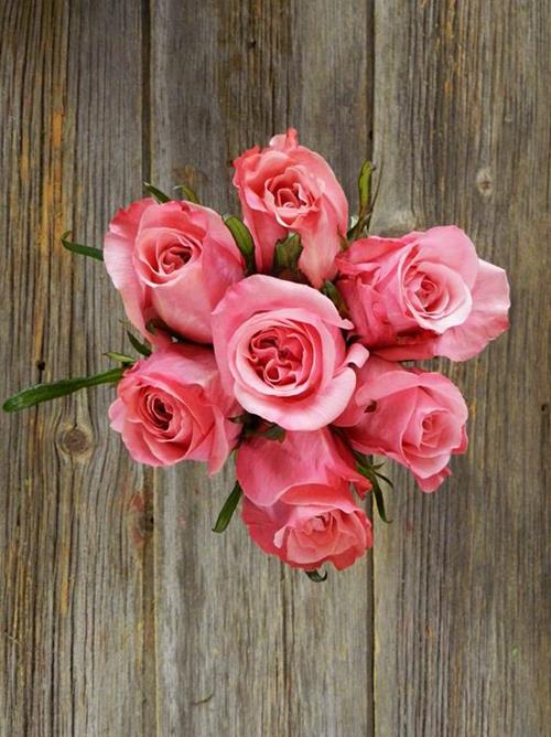 ART DECO  PINK ROSES